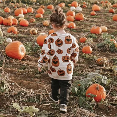 Vista 4 de Sudadera para bebé niño pequeño manga larga cuello redondo suéter sin botones ropa para otoño e invierno
