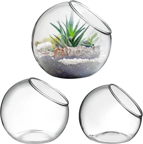 Vista 4 de Zerodeko 3 piezas de terrario de vidrio globo tazón terrario floral contenedor de burbujas transparentes plantador hidroponía maceta de vidrio