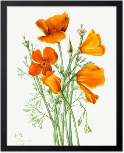 Vista 17 de Poster Master Póster vintage Overbeck – Impresión de acuarela retro – Regalo para artistas, amigos, girasoles, hermoso, botánico, planta