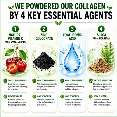 Vista 13 de HCL HERBAL CODE LABS Polvo de péptidos de colágeno con vitamina C y ácido hialurónico, fuentes más limpias y súper alta absorción, multitipo