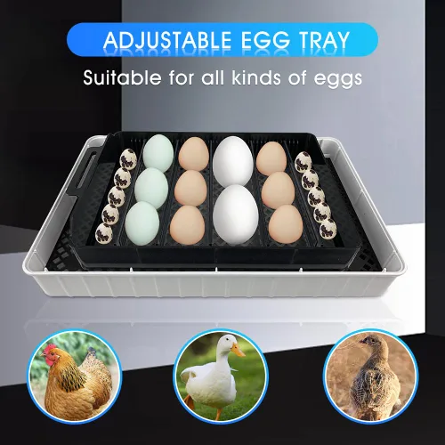 Vista 6 de 12 Incubadoras Automáticas de Huevos para Incubar Huevos con Control Inteligente de Temperatura, Volteador Automático, Ovoscopía LED para Huevos