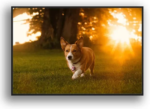 Vista 8 de Signford - Lienzo personalizado personalizado con fotos de tu mascota impresas digitalmente, 16.0 x 16.0 in, marco negro