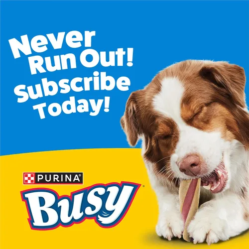 Vista 13 de Purina Busy with Beggin' Twist'd Golosinas de Hueso Masticable para Perros Adultos - (Paquete de 6) Bolsas de 2 ct