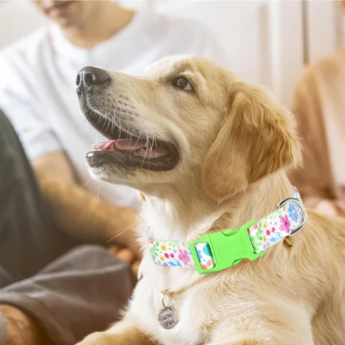 Vista 2 de Lindo collar de perro con patrones de flores verdes para perros machos y hembras, collares ajustables y cómodos para perros XS, pequeños, medianos