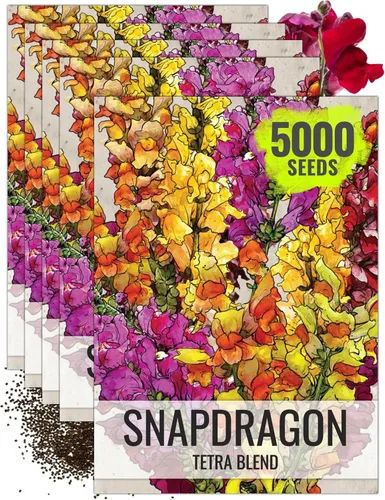Vista 8 de Seed Needs Fairy Bouquet Baby Snapdragon Seeds to Plant Flowers 1 Pack