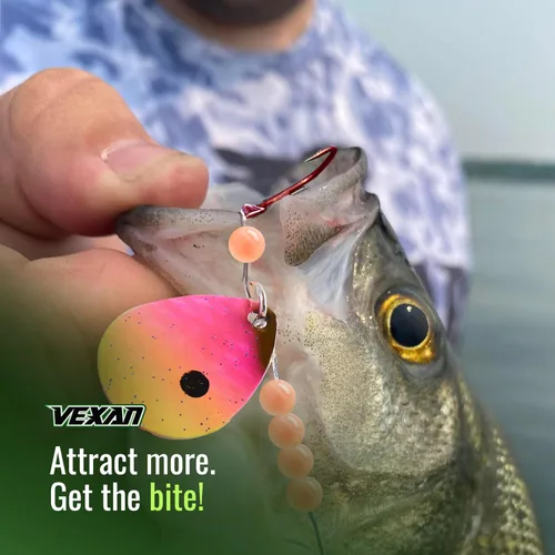 Vista 4 de Vexan Glow Walleye Spinner Rig - Live Bait Fishing Rig for Walleye with UV Glow Beads, #4 Colorado Spinning Plates, #2 Red J-Hook Setup, 48” Mono