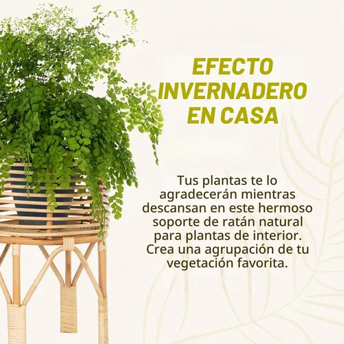 Vista 6 de KOUBOO Soporte para plantas de interior de ratán, pequeño, maceta natural