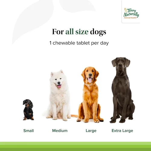 Vista 4 de Terry Naturally Animal Health Probiotic Daily - Digestivo - 60
