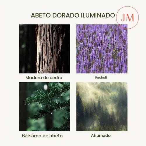 Vista 3 de LA JOLIE MUSE Starlit - Velas perfumadas de pino de abeto para el hogar Abeto dorado iluminado por estrellas