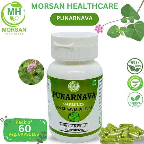 Vista 7 de Morsan Healthcare Punarnava Cápsulas – Paquete de 2 cápsulas vegetales de 60 x 500 mg Boerhaavia Diffusa Hierba ayurvédica 100% natural