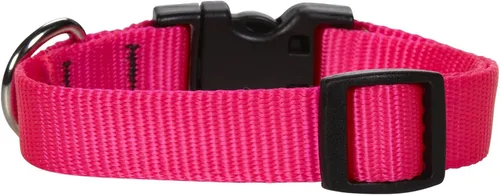 Vista 5 de LupinePet Basics - Collar ajustable rojo de 1/2 pulgadas, 10-16 pulgadas, para perros pequeños