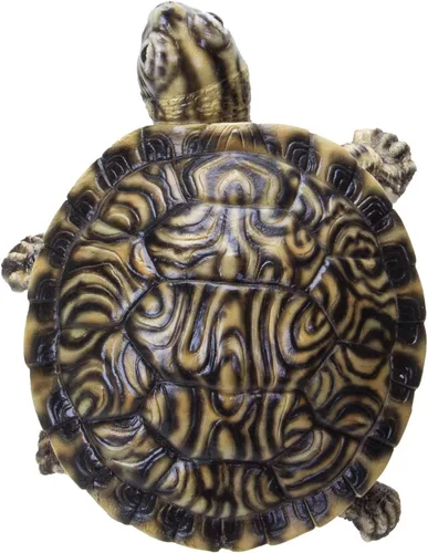 Vista 3 de Pacific Giftware Figura realista de resina de tortuga de vientre amarillo