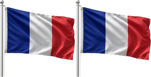Vista 173 de DMSE - Bandera nacional beninesa beninesa de la República de África Occidental, 2 x 3 pies, 100 % poliéster, 100 % poliéster, resistente a los rayos