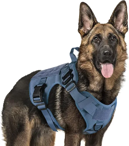 Vista 49 de rabbitgoo - Arnés táctico para perros pequeños, arnés resistente para mascotas con asa, chaleco de servicio sin tirones para razas pequeñas, chaleco