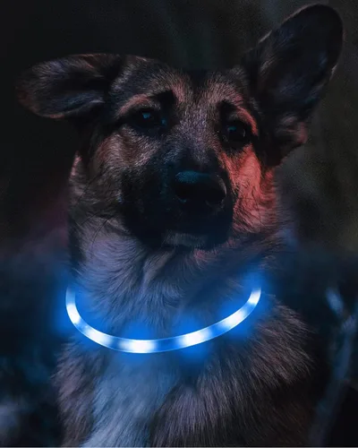 Vista 3 de Joytale - Collar de perro con luz LED, de silicona cortada para ajustar, resistente a la lluvia, color azul Soft Skin-Friendly Won't Chafe, 360°