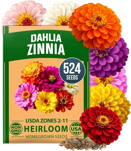 Vista 40 de HOME GROWN Semillas de zinnia rosa – 300 zinnias Luminosa 0.5g, semillas anuales de flores fáciles de cultivar para plantar al aire libre para 2026