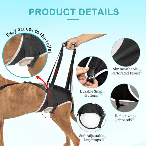 Vista 3 de Arnés de elevación para perros, soporte poscirugía para perros mayores y displasia de cadera, arnés ajustable para perros pequeños, medianos