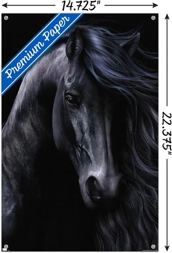Vista 3 de Trends International Laurie Prindle - Póster de pared negro con pasadores