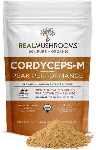 Vista 3 de Real Mushrooms Mezcla de chocolate caliente (15 porciones) y Cordyceps (60 porciones) en polvo – Suplemento en polvo de hongos para energía