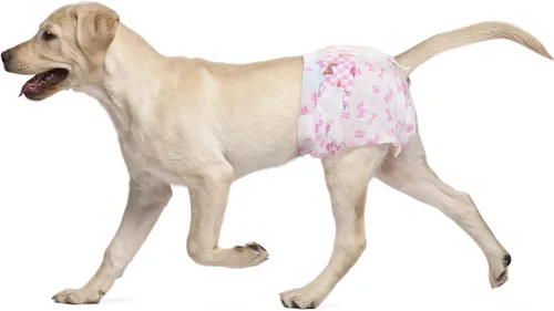 Vista 9 de Dono Pañales desechables para perras, pañales súper absorbentes para perros, con tecnología de gel de secado rápido, a prueba de fugas, ajuste