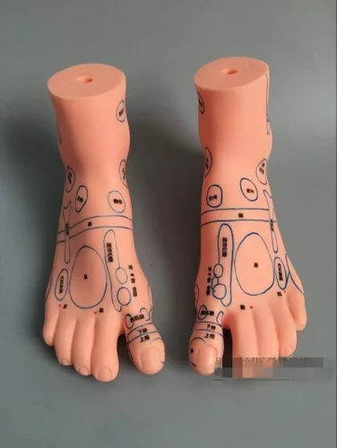 Vista 3 de ZHONGJIUYUAN Conjunto de modelos de masaje Reflex Zone, modelo de masaje de orejas y manos de pies, idioma chino, reflexología de pies