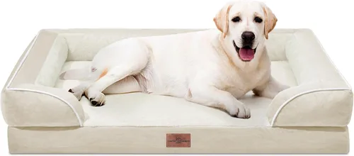 Vista 64 de Comfort Expression - Cama ortopédica para perros medianos, 28 x 19 pulgadas, cama impermeable y de apoyo de espuma con cojines removibles, sofá