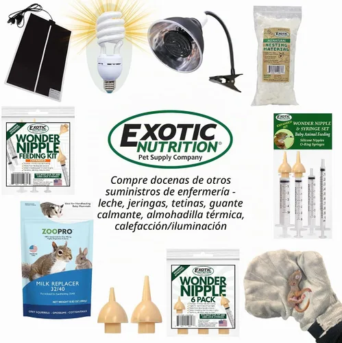 Vista 7 de Exotic Nutrition Set de lactancia de ardilla bebé (expandido) - Sustituto de leche, jeringas de alimentación
