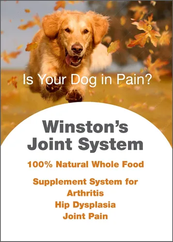 Vista 6 de Winston Sistema de articulaciones, para perros más pequeños de menos de 40 libras, sistema de suplemento alimenticio integral 100% natural
