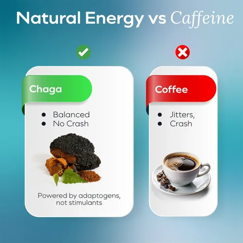 Vista 3 de Gomitas de hongos Chaga Detox - Suplemento de apoyo inmunológico antioxidante y hongos - 250 mg de cuerpos fructíferos - Suplementos de claridad