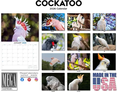 Vista 445 de Calendario de grises africanos 2025 2026 – Planificador mensual de pared de aves africanas – 12 x 18 pulgadas (abierto), calendario de pared