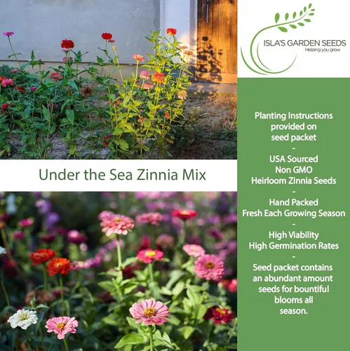 Vista 2 de Semillas de zinnia "Under The Sea Mix" para plantar, más de 200 semillas de flores por paquete, semillas de jardín de Isla