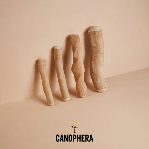 Vista 6 de Canophera Palillo masticable para perros hecho de madera de árbol de café, pequeño, paquete de 2