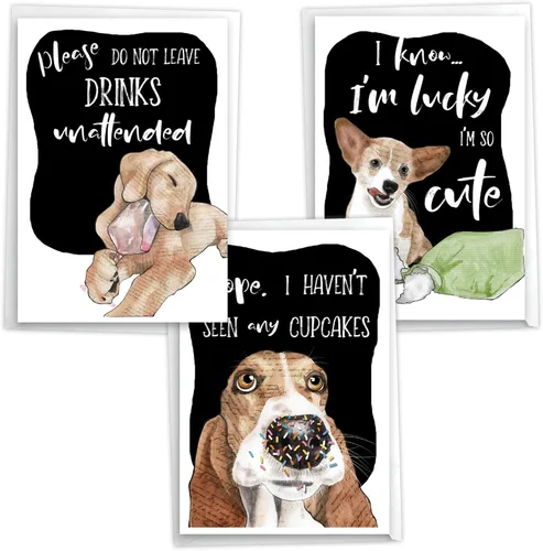 Vista 11 de NobleWorks Surtido de 3 tarjetas de felicitación de cumpleaños con sobres (3 diseños, 1 cada uno) Cat Laughs VC2805BDG-C1x3