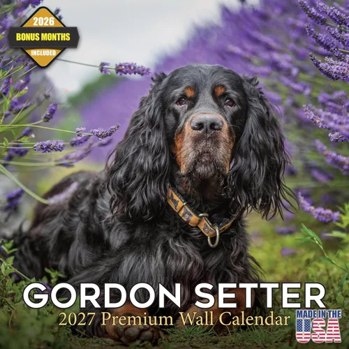 Vista 30 de Calendario de Lebrel Afgano 2025 2026, calendario mensual de pared de raza canina, 12" x 18" abierto, papel grueso sin traspaso, ideal para regalo