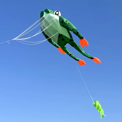 Vista 4 de HENGDA KITE Cometa de rana 3D para adultos, cometas gigantes de parafoil suave sin marco