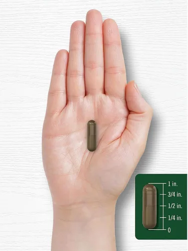 Vista 7 de Carlyle Schisandra Suplemento 1160 mg 200 Cápsulas Extracto de fruta de Sin OMG y sin gluten