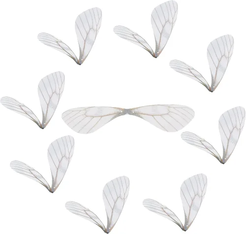 Vista 8 de SUNNYCLUE 1 caja 180 pares de decoraciones de mariposa de tela 3D adorno de mariposa pequeñas alas de mariposa de organza para bricolaje, joyas