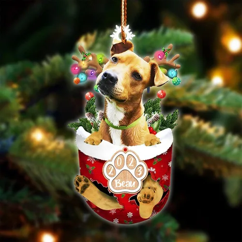 Vista 93 de NAZENTI Adorno Navideño de Bolsillo Personalizado de Affenpinscher en la Nieve, Adorno de Forma Acrílica de Perro, Adorno de Navidad 2023, Adorno