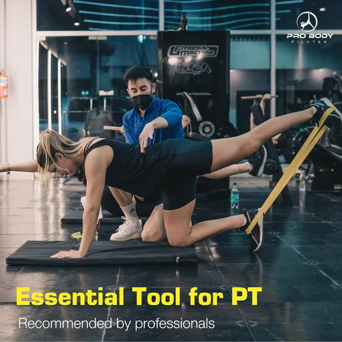 Vista 6 de ProBody Pilates Bandas de resistencia de bucle para entrenamiento, juego de 5 bandas de ejercicio de resistencia, bandas de entrenamiento
