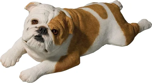 Vista 6 de Sandicast Escultura de bulldog cervatillo, sentado, tamaño pequeño