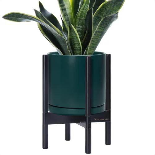 Vista 92 de D'vine Dev Maceta de cerámica con soporte de ébano – Maceta redonda moderna de 8 pulgadas con soporte para maceta de madera, color negro, 55-B-M-2
