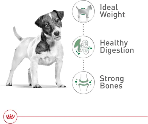 Vista 4 de Royal Canin Size Health Nutrition - Alimento seco para perros adultos