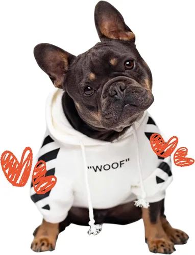 Vista 12 de ChoChoCho Sudadera con capucha y suéter para perros – Elegante ropa urbana de algodón para gatos y cachorros en gris – S, M, L