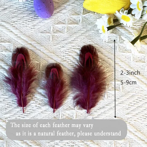Vista 2 de 100 plumas de faisán rojo burdeos de 2 a 3 pulgadas, plumas de plumaje manchadas esponjosas para atrapasueños, manualidades, costura, decoración