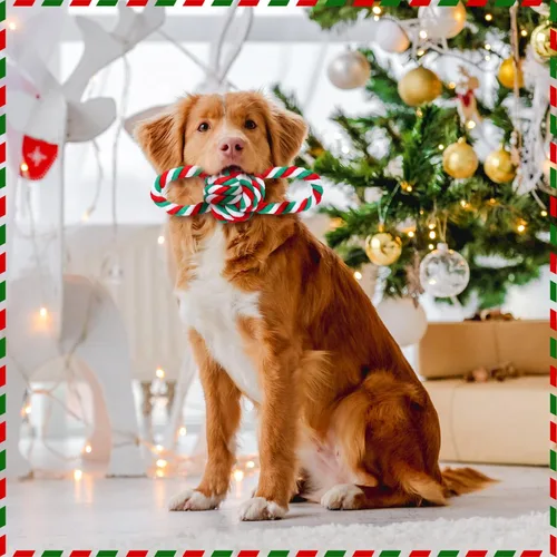 Vista 4 de Zubebe 16 piezas de cuerda de Navidad para perros, juguetes de Navidad para masticar perros, juguetes interactivos clásicos para Navidad, perros