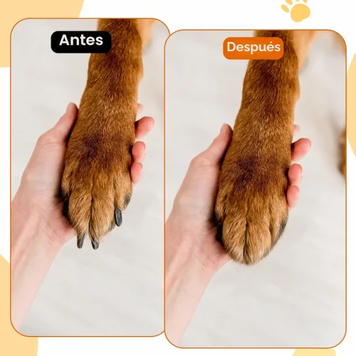 Vista 3 de Lima de uñas para perro con disco reemplazable, lima de uñas de perro, tablero de rascar, papel de lija reemplazable, sin estrés, limar las uñas