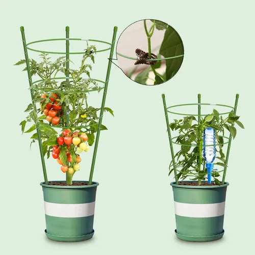 Vista 5 de Jaula de tomate con soporte para plantas de jardín, enrejado mejorado para plantas trepadoras, kits de enrejado para plantas (paquete de 2 - 18)