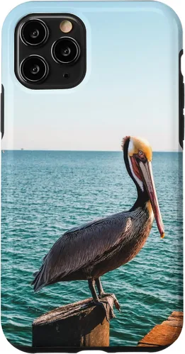 Vista 28 de iPhone 11 Pelican Case