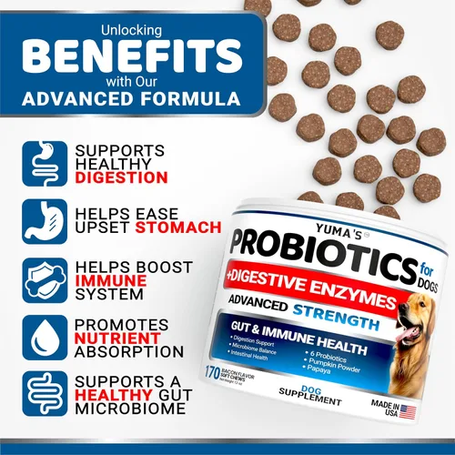 Vista 2 de Probióticos para perros y enzimas digestivas – 170 probióticos masticables para perros – Probiótico para perros – Anti diarrea, malestar estomacal