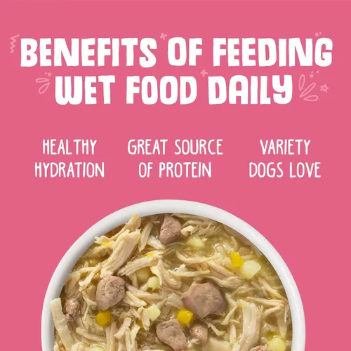 Vista 5 de Alimento para perros Weruva Classic, Amazon Livin' con pechuga de pollo e hígado de pollo en sopa de calabaza, lata de 5.5oz (24 unidades)